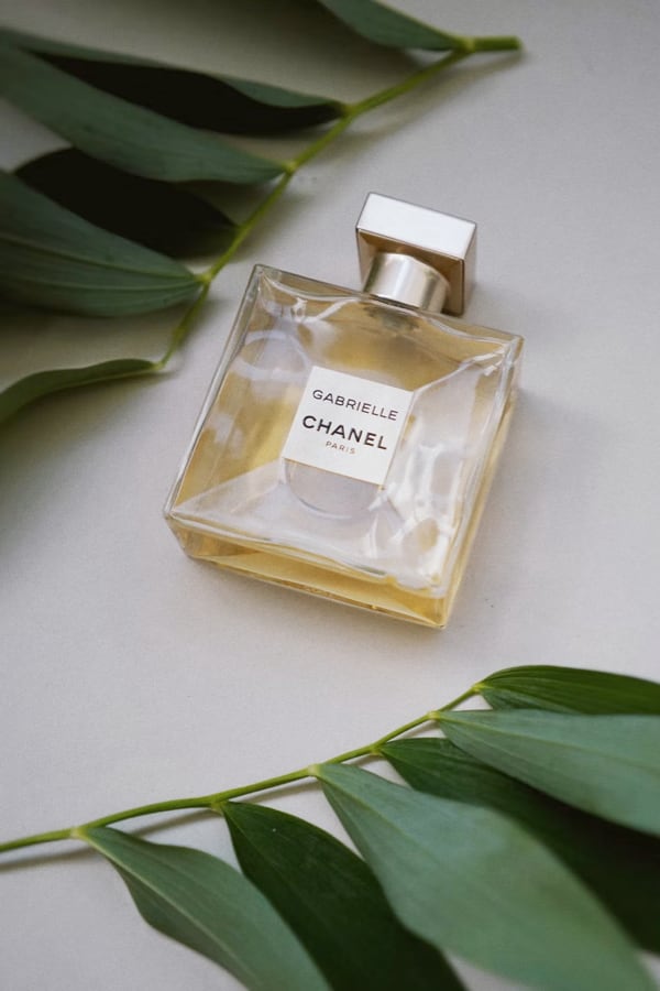 picture of chanel perfume bottle between two palm fronds